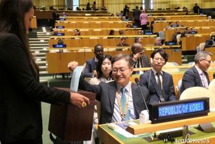 외교부, 2024-25년 임기 유엔 안보리 비상임이사국 진출