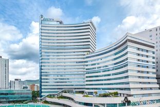 경기도, 울산·경북·경남 대형산불 피해지역에 5억 원 및 인력·장비 지원