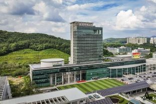 용인특례시, 국가정보자원관리원 화재로 시스템 장애 발생한 ‘국민신문고’ 민원접수 방법 대안 마련