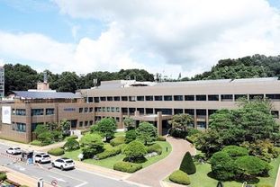 파주시, 한국토지주택공사(LH) 발주 공사장에서 수도시설 임의조작으로 탁수 발생… 수질 안정화 조치 중
