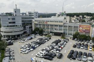 고양시의회 시 조직개편안 끝내 부결로 5번째 파행