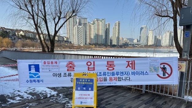 수원 원천호수에서 수거한 큰기러기 폐사체에서 고병원성 조류인플루엔자(AI) 바이러스 검출