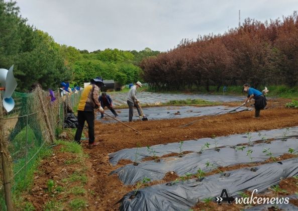 고양시 중산1동 주민자치회, 나눔텃밭