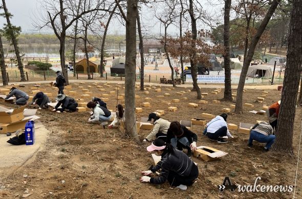 도시농부들, 내리 관광지 구절초 동산 조성 봉사활동