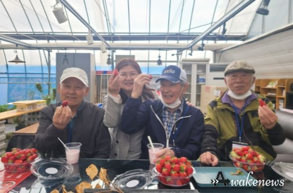 동두천시치매안심센터, 치매가족을 위한 딸기농장 체험 진행