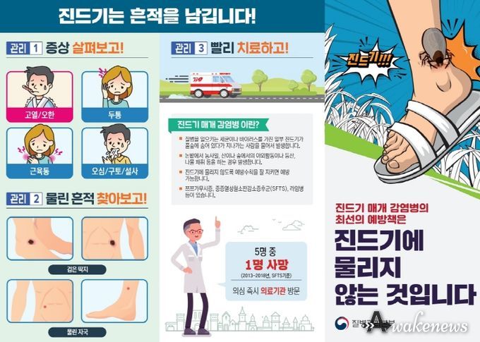 파주시, '야외활동 시 진드기 주의'…예방수칙 준수 당부