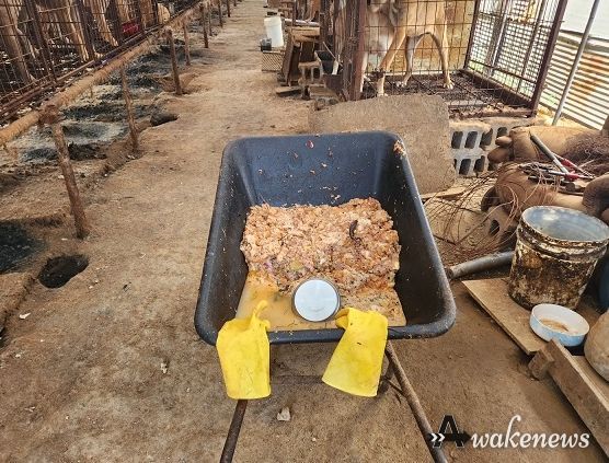 파주시, 음식물쓰레기 불법 사용하는 개 사육시설 엄중 처벌