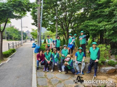 장기본동 새마을부녀회가 8일 가로변 항아리 화분 100여 개에 베고니아, 메리골드, 산파체스 등 여름꽃 5,000본을 식재했다.