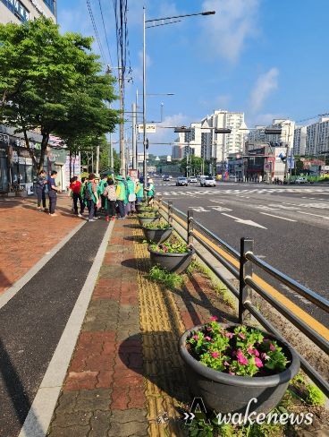 통진읍 새마을부녀회 외원들의 여름꽃 식재 활동