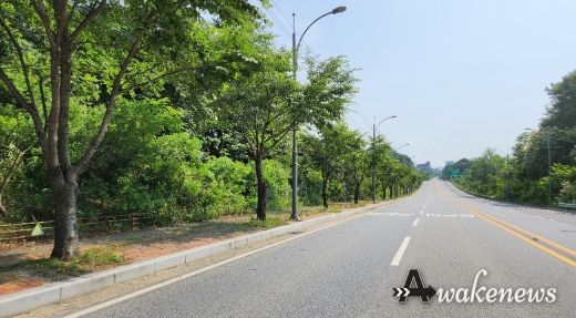 여주시, 명품로 가로수 정비공사 착수