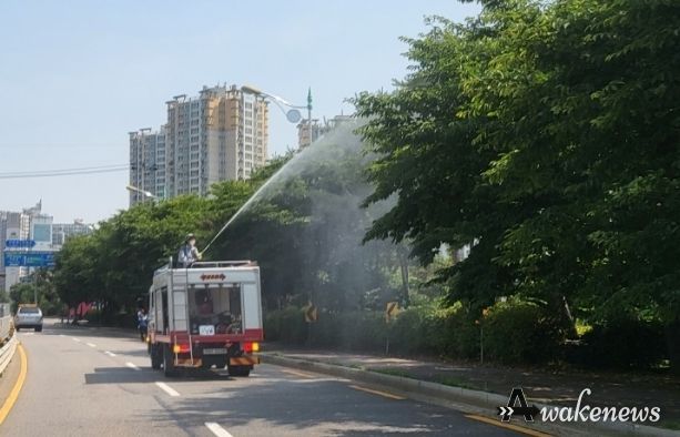 광명시가 관내 일명 러브버그(붉은등우단털파리) 발생에 따라 즉각적인 방재에 나섰다.