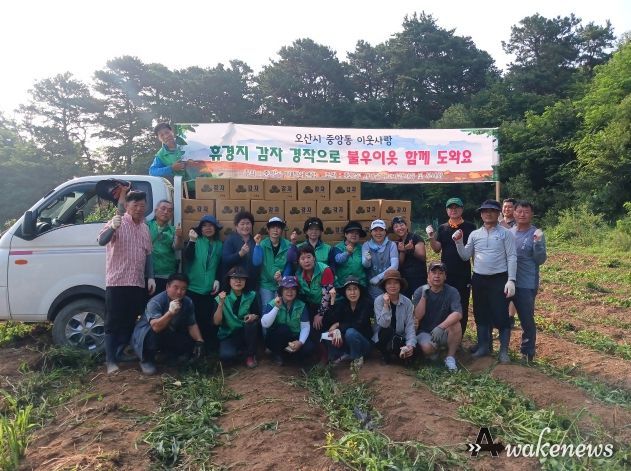 오산시 중앙동 새마을회, 감자수확으로 이웃사랑에 한걸음더