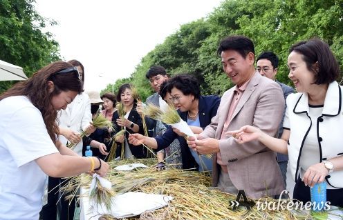 청보리길 축제