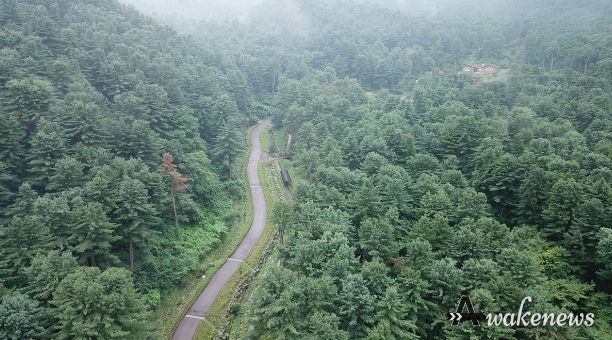 경기도잣향기푸른숲(치유의 숲)