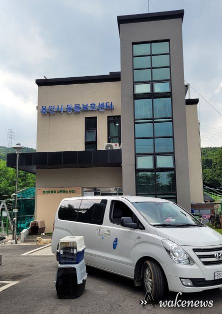 이송을 지원하는 동물보호센터