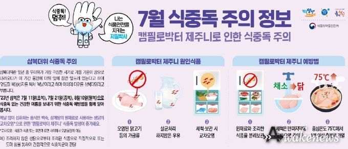 안성시, 여름철 불청객 '캠필로박터 제주니' 식중독을 주의하세요
