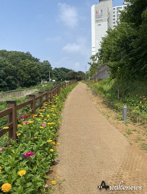 파주시 금촌3동 군(軍) 방호벽 산책로 화려한 꽃길로 변신