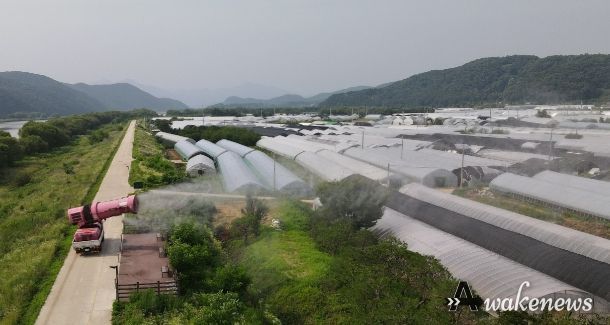 광주시, 토마토 재배단지 대상 1차 친환경 공동·광역방제