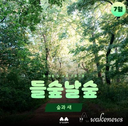 들숲날숲 숲과 새(카드뉴스) - 새, 숲