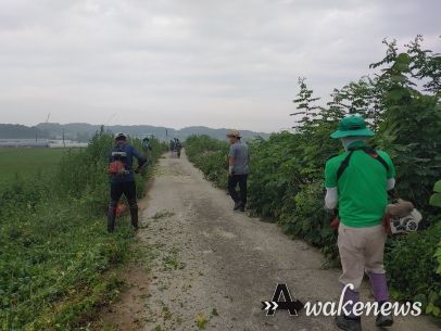 모가면 새마을협의회 하천변 제방도로 예초작업 실시