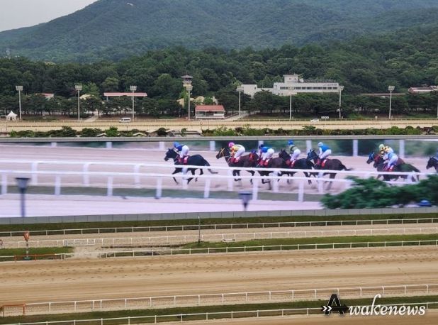 2022년 경주대회
