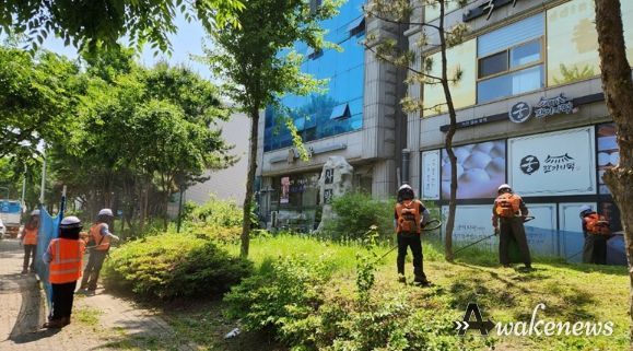 안산시 상록구, 여름철 가로수·녹지대 일제 정비… 환경개선 집중