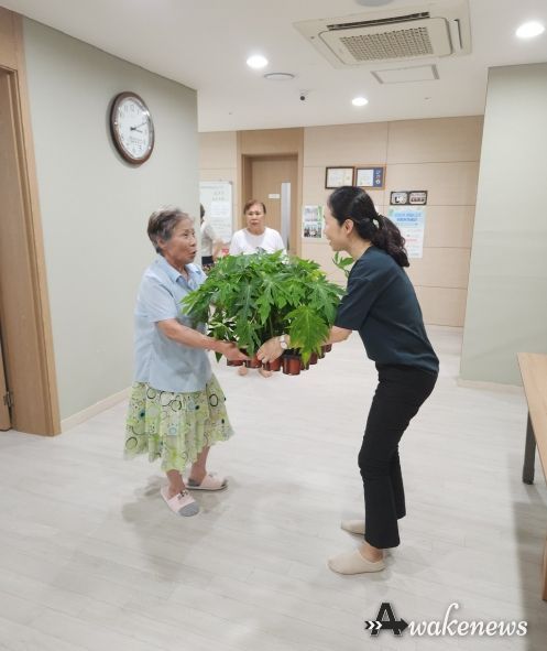 파주시 운정3동, 반려식물과 함께 건강한 여름 나기