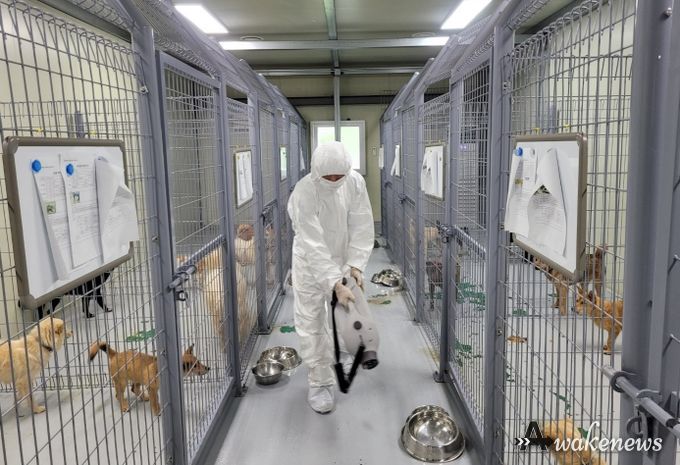 조류인플루엔자 일제검사 추진_
