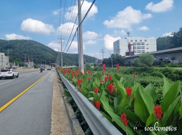 국도 23번도 곤지암읍 가로변 여름꽃 만발