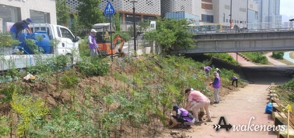 고양시 삼송1동 주민자치회, 창릉천 산책로 경관 정비