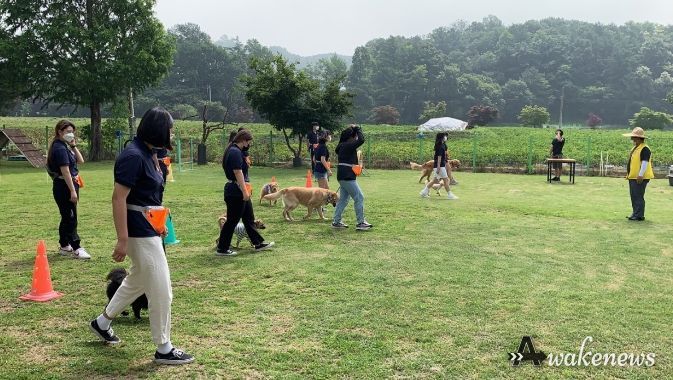 안성시청소년문화의집, 반려견 훈련사 활동 '나는 훈련사다' 참가 청소년 모집