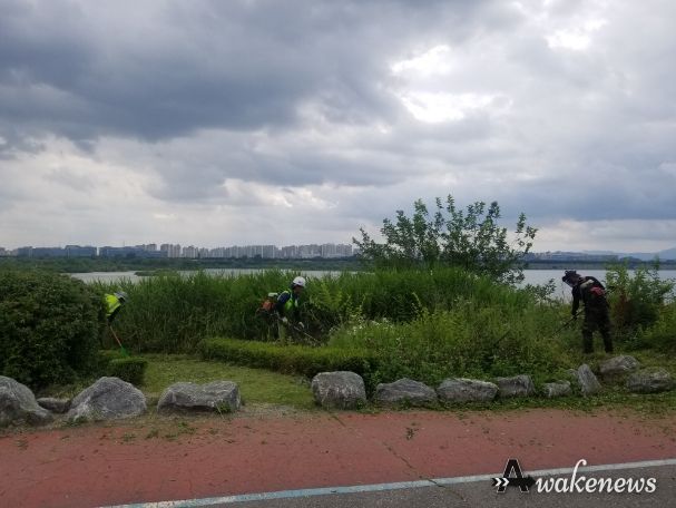 관내 도시공원·녹지 관리 작업