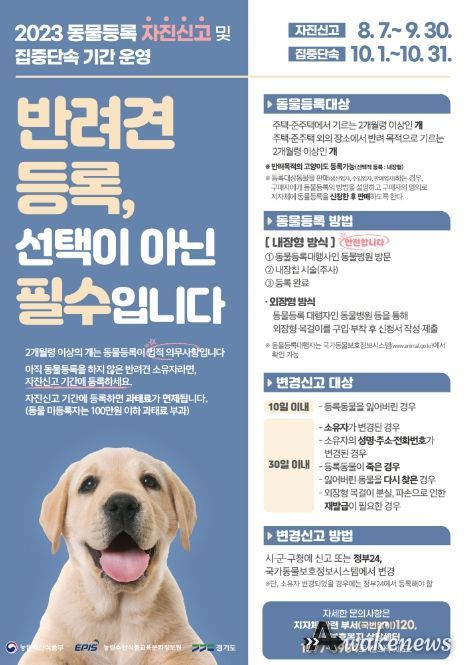 시흥시, 9월 30일까지 '동물등록 자진신고' 및 집중 단속기간 운영