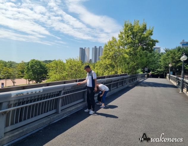 고양특례시 일산서구, 태풍대비 옥외광고물 긴급 안전점검 실시