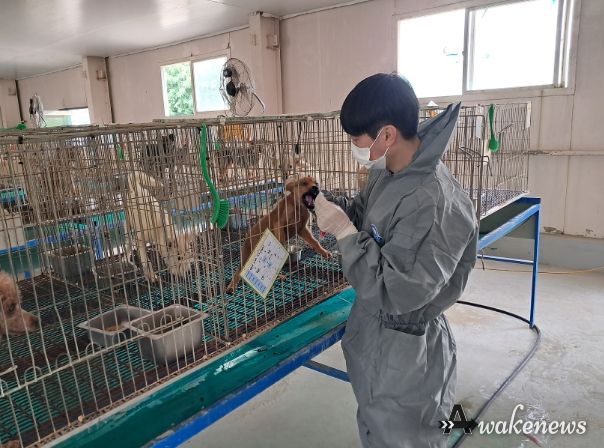 안산시, 고양이 고병원성 AI 관련 긴급방역 조치 실시