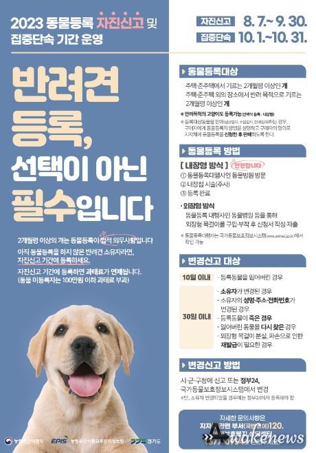 홍보물