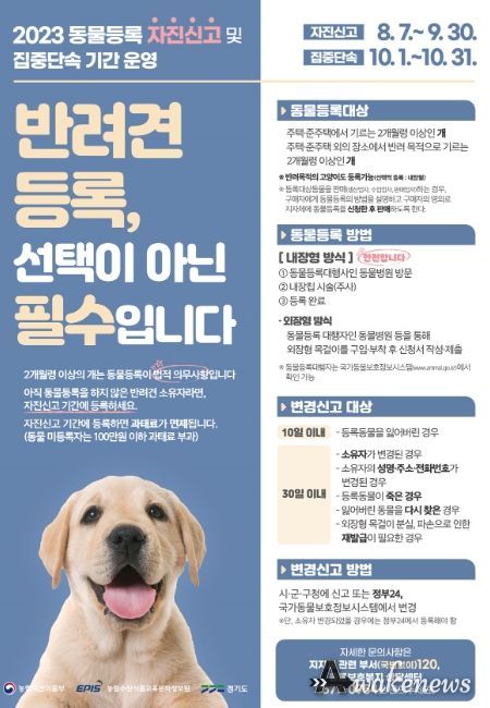 광주시, 9월까지 동물등록 자진신고 기간 운영