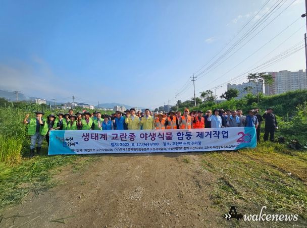생태계교란 야생식물 제거작업