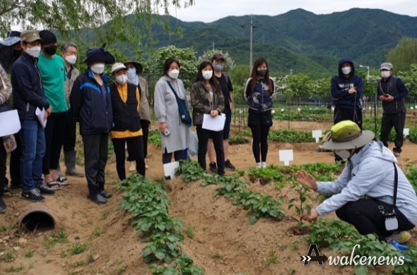 남양주시, 같이 배우고 함께 심는 가을 텃밭 행사 실시!