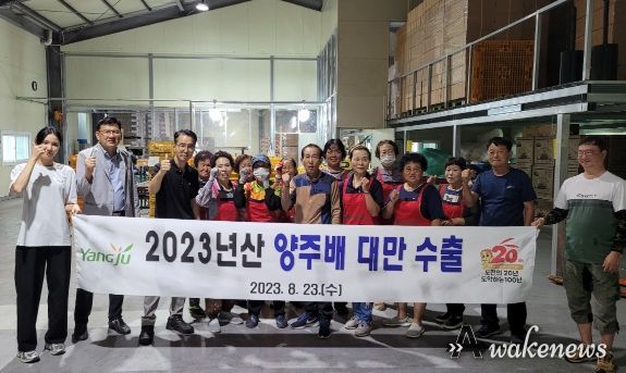 양주시, 2023년산 조생종 양주배 수출 시작