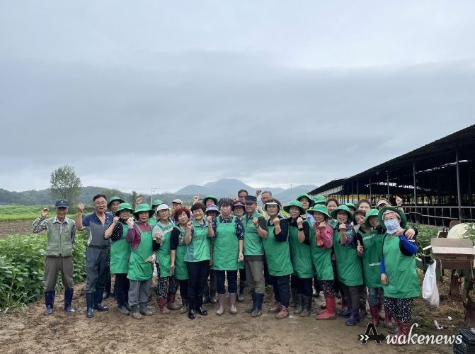 안성시 양성면 새마을회, 배추모종 심기행사