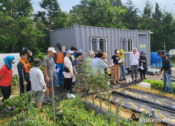 가을 텃밭 가꾸기 교육