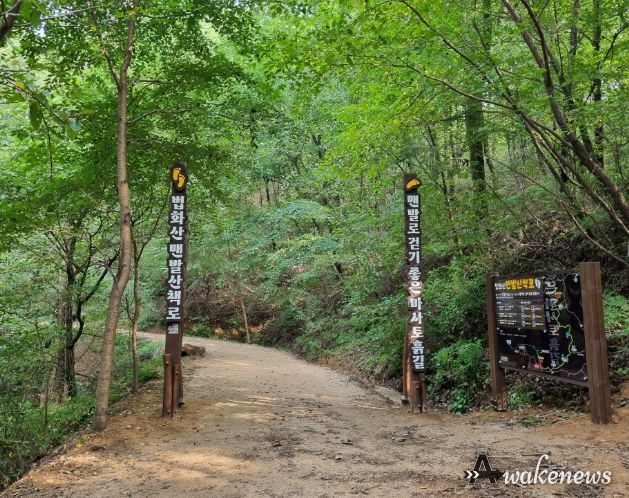 용인특례시가 기흥구 마북동 법화산에 맨발 산책로를 조성했다