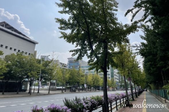 고양특례시 덕양구, 은행나무 열매 수거 사업 시행