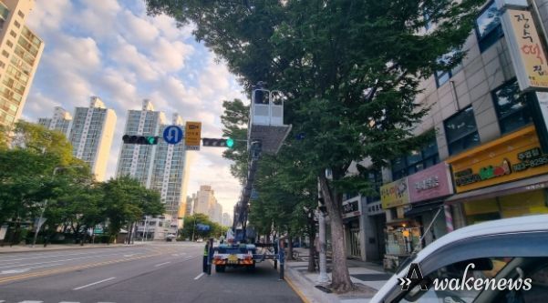 고양특례시 일산서구, 도로교통 방해수목 전정실시