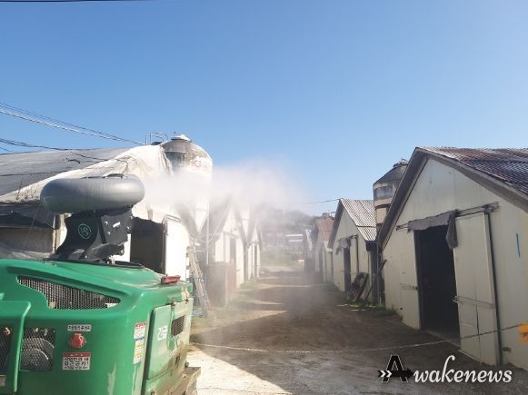 파주시, 동절기 조류인플루엔자(AI) 차단방역 총력