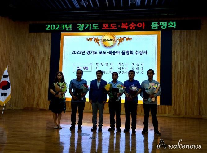 안산 대부 포도, 경기도 품평회서 최우수상 수상… 명성 지킬 것