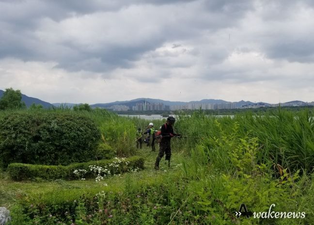남양주시, 명절 앞두고 공원 및 도로변 녹지 선제적 정비 나서