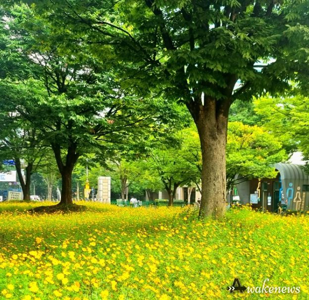 일산호수공원 전경