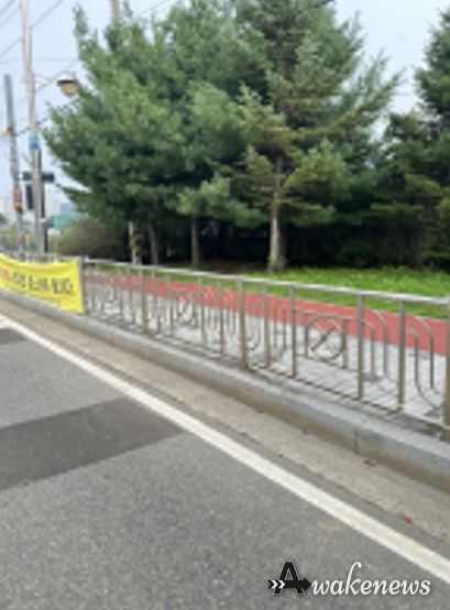 제거 후